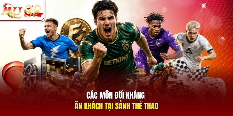 Các môn đối kháng ăn khách tại sảnh thể thao