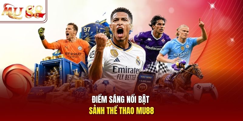 Điểm sáng nổi bật sảnh thể thao mu88