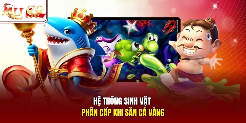 he-thong-sinh-vat-phan-cap-khi-san-ca-vang Hệ thống sinh vật phân cấp khi săn cá vàng