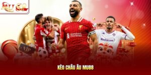 Kèo Châu Âu Mu88