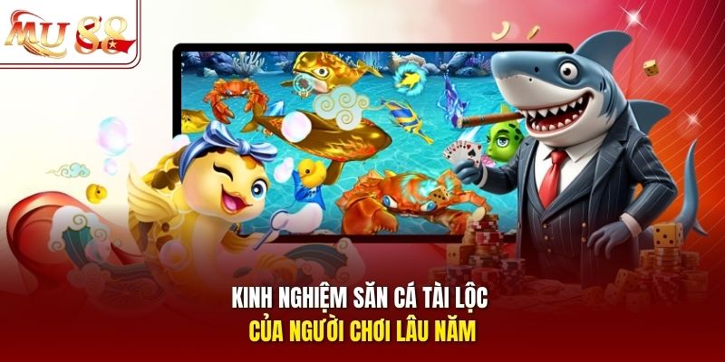 Kinh nghiệm săn cá tài lộc của người chơi lâu năm