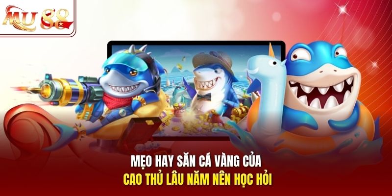 meo-hay-san-ca-vang-cua-cao-thu-lau-nam-nen-hoc-hoi Mẹo hay săn cá vàng của cao thủ lâu năm nên học hỏi