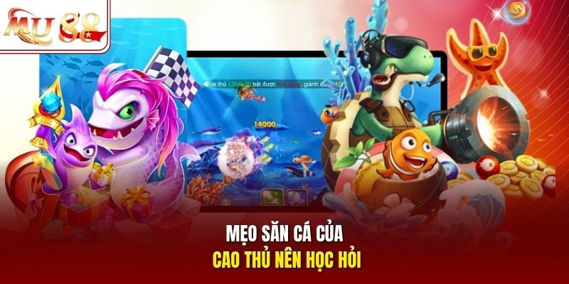 Mẹo săn cá của cao thủ nên học hỏi