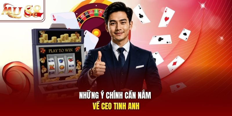 Những ý chính cần nắm về CEO Tinh Anh