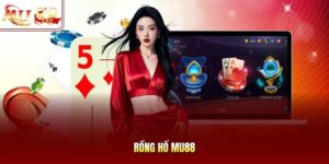 Rồng Hổ mu88