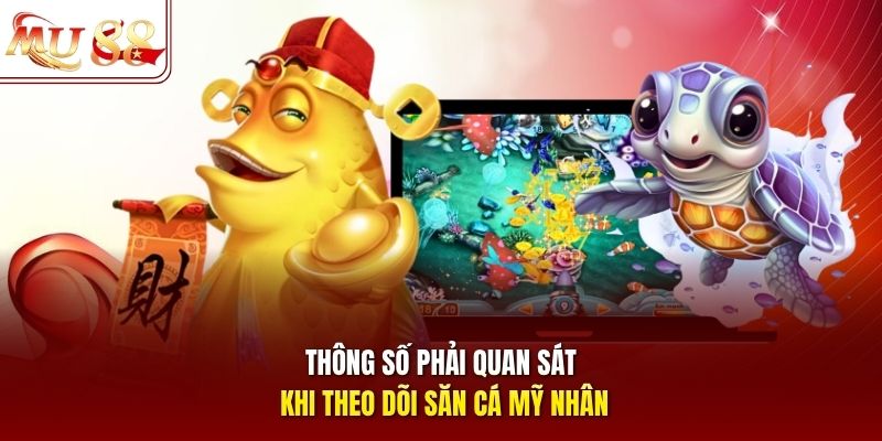 Thông số phải quan sát khi theo dõi săn cá mỹ nhân